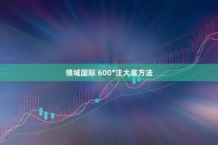 领域国际 600*注大底方法