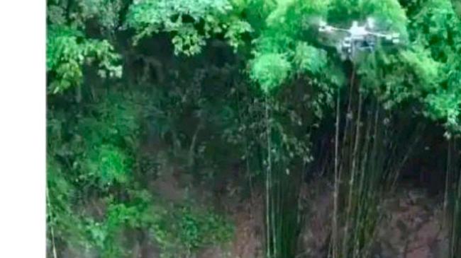 00后小伙用无人机吊运竹子月赚4万元 科技助力农林运输革新