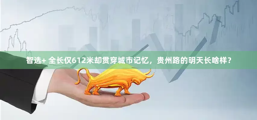 智选+ 全长仅612米却贯穿城市记忆，贵州路的明天长啥样？